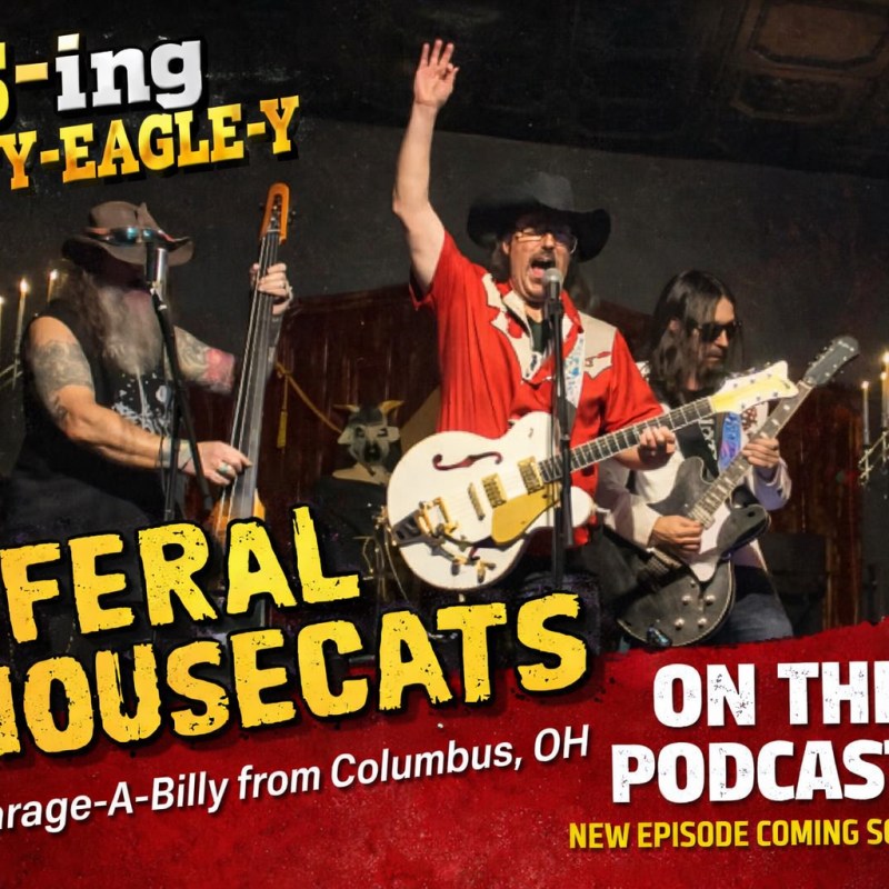 🔥 Feral Housecats Go Feral | BS-ing With Y-Eagle-Y&nbsp;Podcast